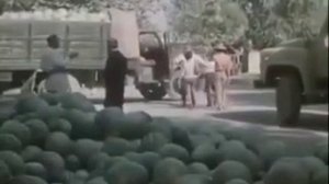 ленинобад 1983г