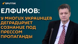 Елфимов: идея украинского национализма ― "нам все, вам ничего"