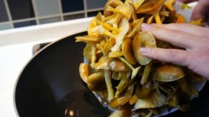 Как мы готовим  гигрофор поздний (зимний гриб)