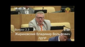 ЛДПР отказали в поправках к амнистии о мошенничестве 02.07.13