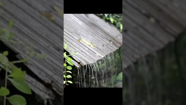 Звук природы. Дождь бьет по крыше для сна. Звук капель