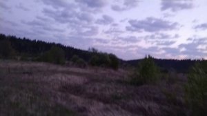 Вологодская область Устюжский район д Анисимово р Стрельна.