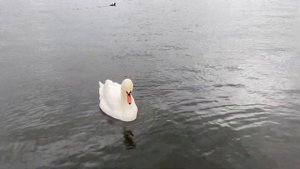 Аффирмации избавления от страха и панических атак?Избавление от тревожности и обретение гармонии ?