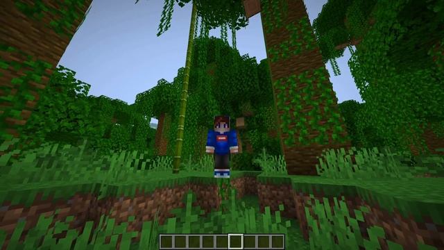 //SET 0 БЕЗ МОДОВ И ДАТАПАКОВ В МАЙНКРАФТЕ? КАК СЕТАТЬ ТЕРРИТОРИЮ БЕЗ WORLDEDIT В MINECRAFT /FILL!