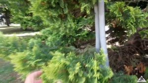 Набережная в Туапсе.