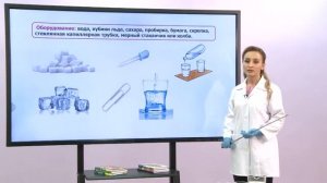 Биология. 7 класс. Свойства воды: поверхностное натяжение, движение воды