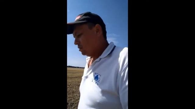 4.07.2018 всходы рапса посте работы Salford RTS I-2100