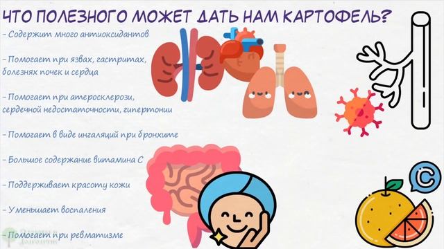 В картошке обнаружили вещество, радикально влияющее на… Что будет, если картофель есть каждый день