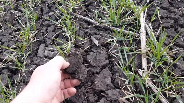 МТЗ 952 БОРОНУЄМ ПШЕНИЧКУ смотреть онлайн