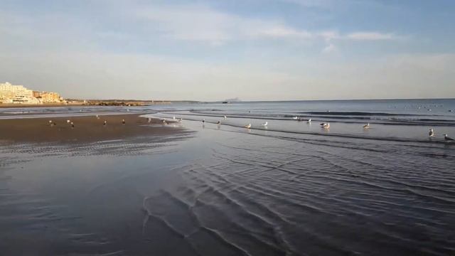 Тирренское море и чайки в Неттуно, Италия.