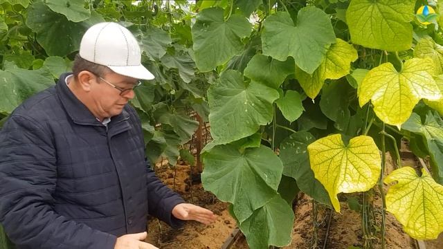 КРИСТИНА F1 ҚИЯРЫНЫҢ АРТЫҚШЫЛЫҚТАРЫ (16-10-2018) смотреть онлайн