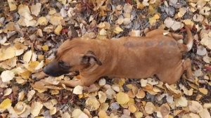 Если бы не Урал, я бы не видел этих красот.