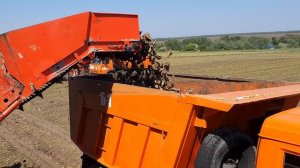 Уборка сах/свеклы 2020