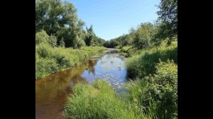 Верховья реки Медведица в Тверской обл.