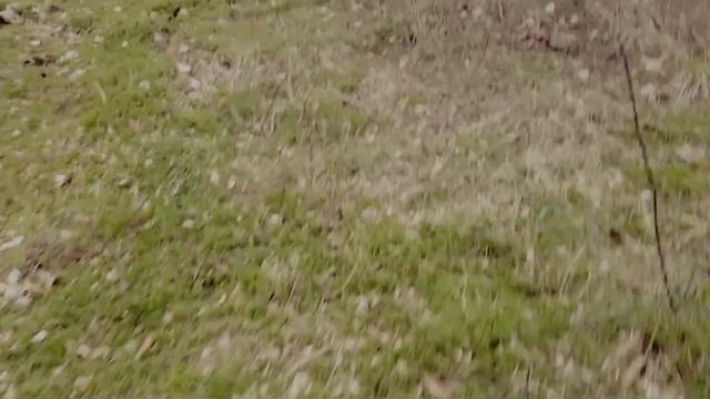 ЛЯ-ЛЯ-ЛЯ - ХОДОКИ 2 смотреть онлайн