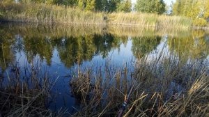 ловля гольяна в сентябре