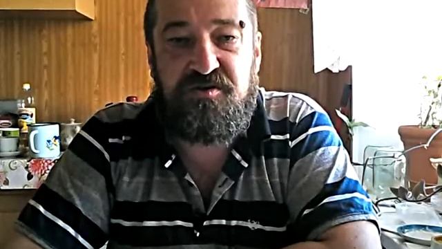 Кот и пес 17. Разные рыжие. Сказка. смотреть онлайн