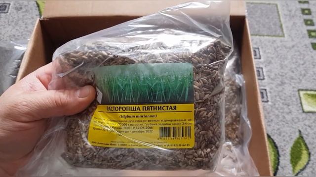 Купили Семена Медоносных?Растений Для Пчел?