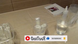 ПОСЕВ ЛУКА ЭКСИБИШЕН НА РАССАДУ