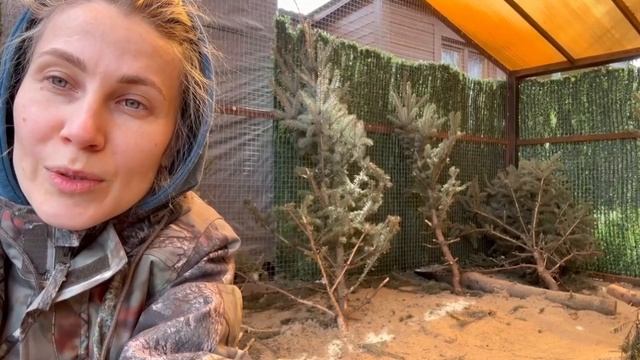 Дневник Волонтера Дом Зайца 1. Даша рассказывает о делах и правилах смотреть онлайн