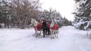 "Ой зимушка" ансамбль народной песни "Свои люди"