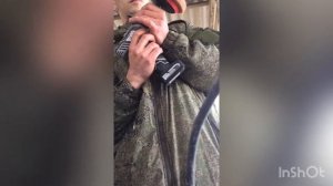 Как правильно восстановить задние фонари ! Полировка задних стопов ? за копейки