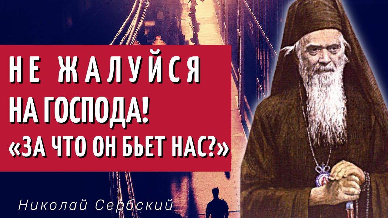 Не жалуйся на Господа. «За что Он бьет нас?» - Святитель Николай Сербский