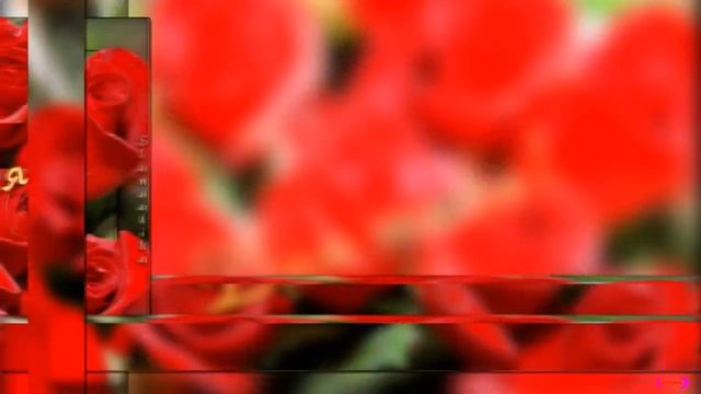 С ДНЕМ РОЖДЕНИЯ !!! САМОЕ РОМАНТИЧНОЕ ПОЗДРАВЛЕНИЕ