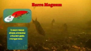 Тонущие воблеры Rapala