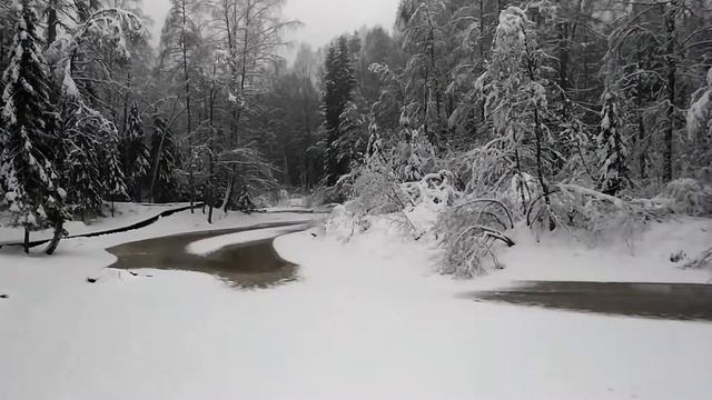 Красивые места - Линдуловская роща, зима 2021