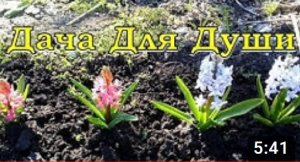 ВЕСНА: приводим в порядок ЦВЕТНИК ???