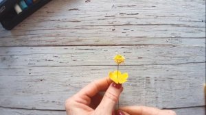 Калужница из фоамирана очень просто.