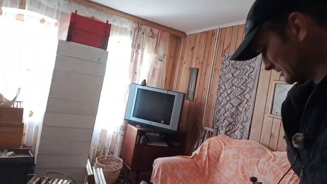 Мои ловушки на пчел в деле даже зимой