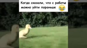 Когда сказали что с работы можно уйти по раньше