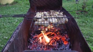 Использование виноградной лозы для гриля