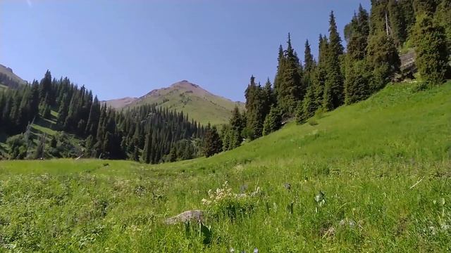 ВИДЕОМАРШРУТ №2 | Водопады Горельника | Как дойти смотреть онлайн