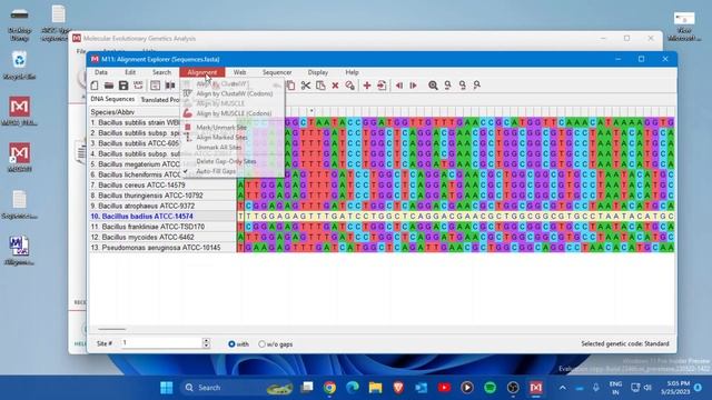 How to Construct a Phylogenetic Tree in MEGA 11: A Step-by-Step Guide