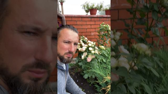Мой Любимый Акрополис