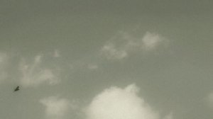 По зову свободы