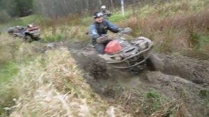 Ямаха гризли облажалась