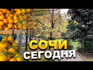 СОЧИ СЕГОДНЯ +9 ВОЗДУХ ️ ПОГОДА В СОЧИ НА ДЕНЬ / НА НЕДЕЛЮ #сочи