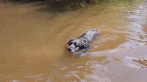 САМОЛОВКИ НА ЩУКУ