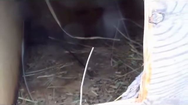 про гаджеты смотреть онлайн