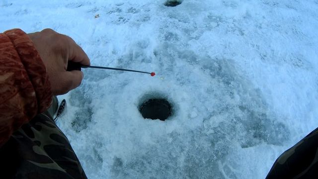 Рыбалка 10 декабря на крупного голавля и плотву.