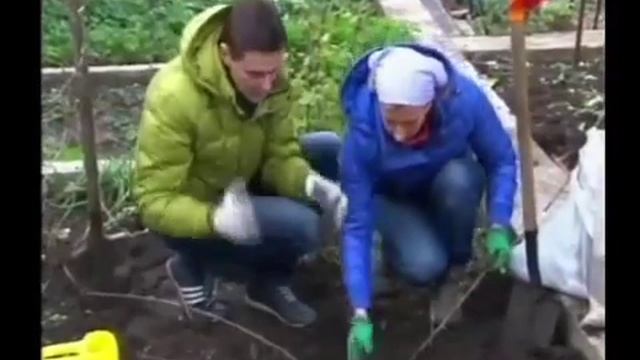 Смородина.Мастер класс. Марина Рыкалина и Виталий Декабрев.