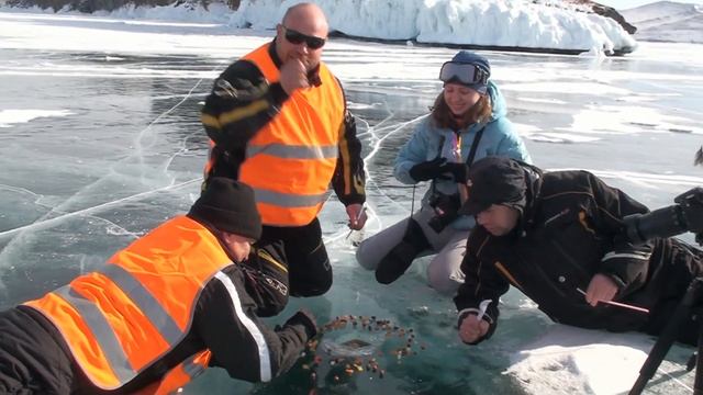 Байкал 2013. "Капитан Арктика." смотреть онлайн
