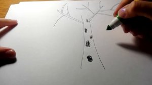 Как нарисовать берёзу