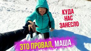 Маша провалилась. Готовимся к конкурсу. Шпиц Бэлла с грязными лапами