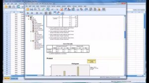 Conducting a Shapiro-Wilk Normality Test in SPSS