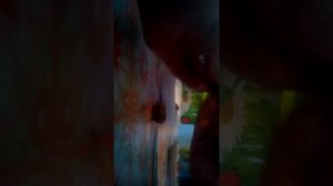 В финиках черви